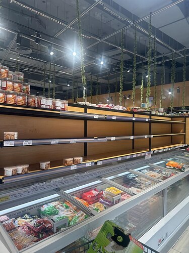 IMAGE 2026-03-02 14:53:48