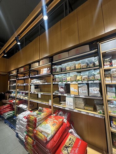 IMAGE 2026-03-02 14:53:52